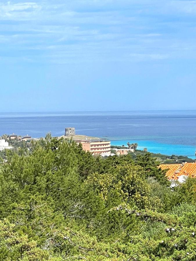 Casa Vacanze Stintino Vista Mare 외부 사진
