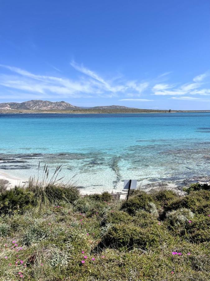 Casa Vacanze Stintino Vista Mare 외부 사진